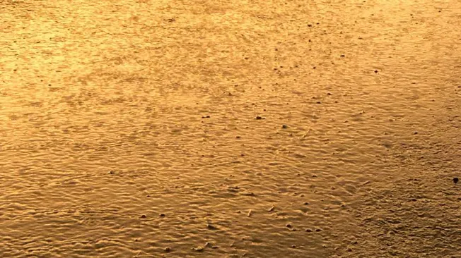 How Does Humidity Affect Skin Hydration