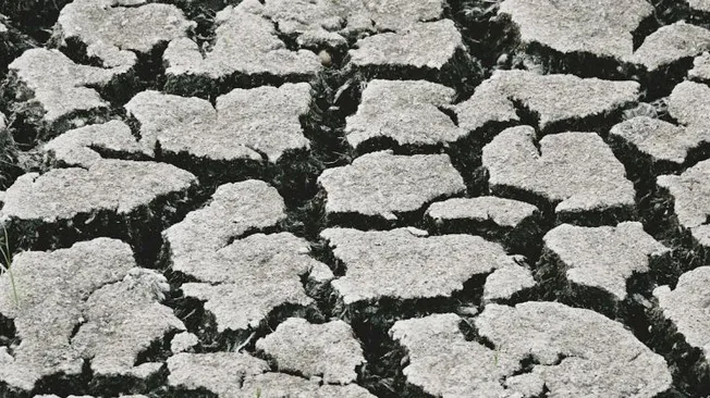 What Are the Signs of Dehydrated Skin
