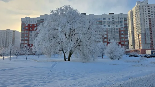 5 самых опасных дней в феврале 2019 года