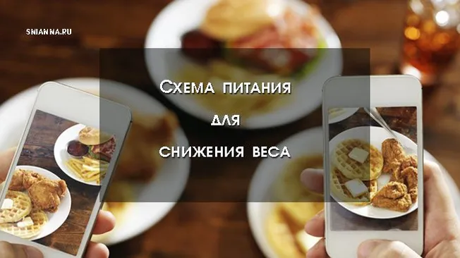 Здоровая схема питания для тех, кто хочет снизить свой вес
