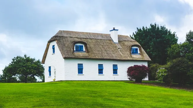 Rules for Caring for Artificial Grass