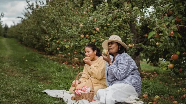 What Are the Best Practices for Mindful Eating