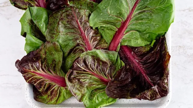 What Are the Top Superfoods to Include in Your Diet