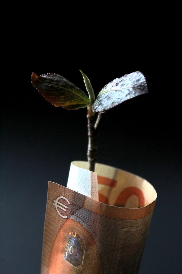 money and a plant