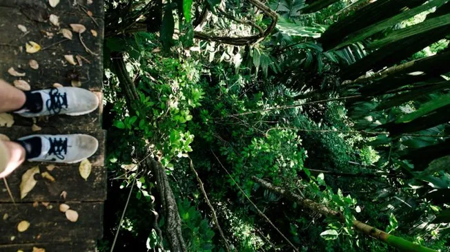 Adrenaline Rush: the World’s Most Exhilarating Zip Lines