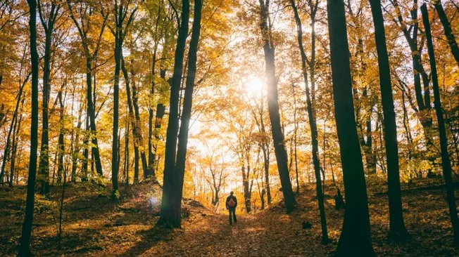 Affordable Adventure: Exploring Nature on a Budget