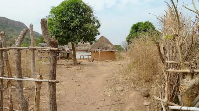 African Customs and Courtesies: a Traveler's Guide