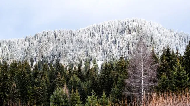 Bulgaria's Unseen Beauty: a Journey through Time