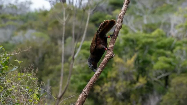 Discovering Wildlife Without Harming It: Ethical Animal Encounters