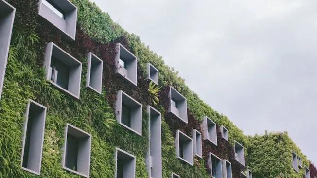 Embracing Eco-friendly Accommodations around the World