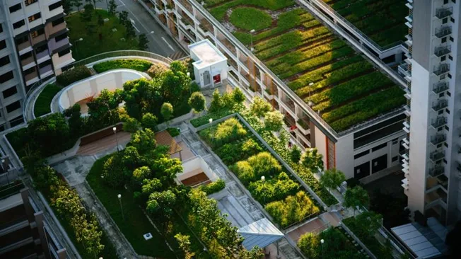 Exploring the World’s Most Sustainable Cities