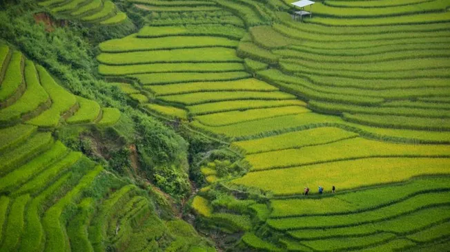 Hidden Wonders of Vietnam: More than Ha Long Bay