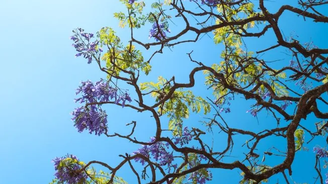 How to Leave No Trace while Exploring Nature