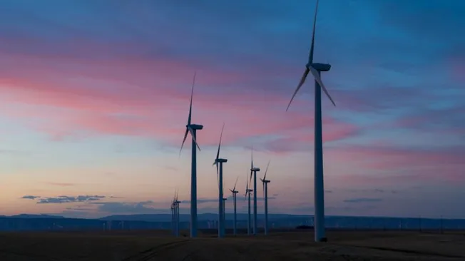 The Ultimate Guide to Carbon Offset Programs for Travelers