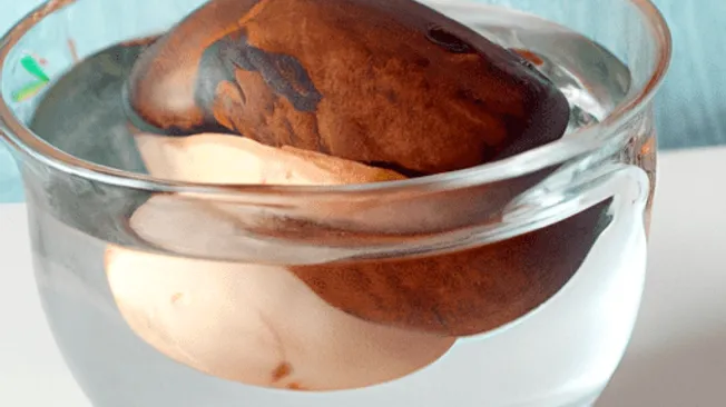 How to Grow a Mango Seed in Water