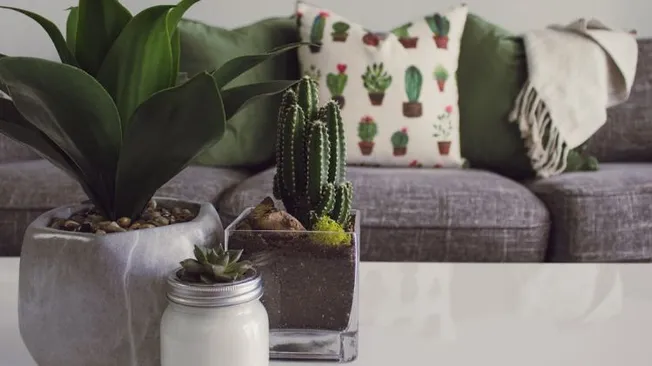 How to Thrift Shop for Home Decor