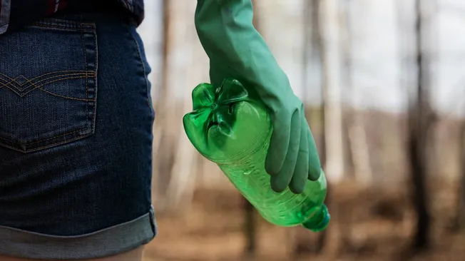 American Waste Management Services Inc