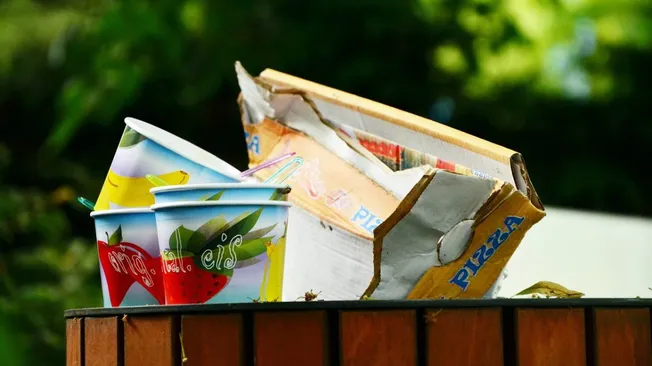 Del Waste Management Company Limited