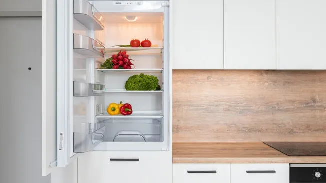 Modern refrigeration equipment is not only efficient but also environmentally friendly