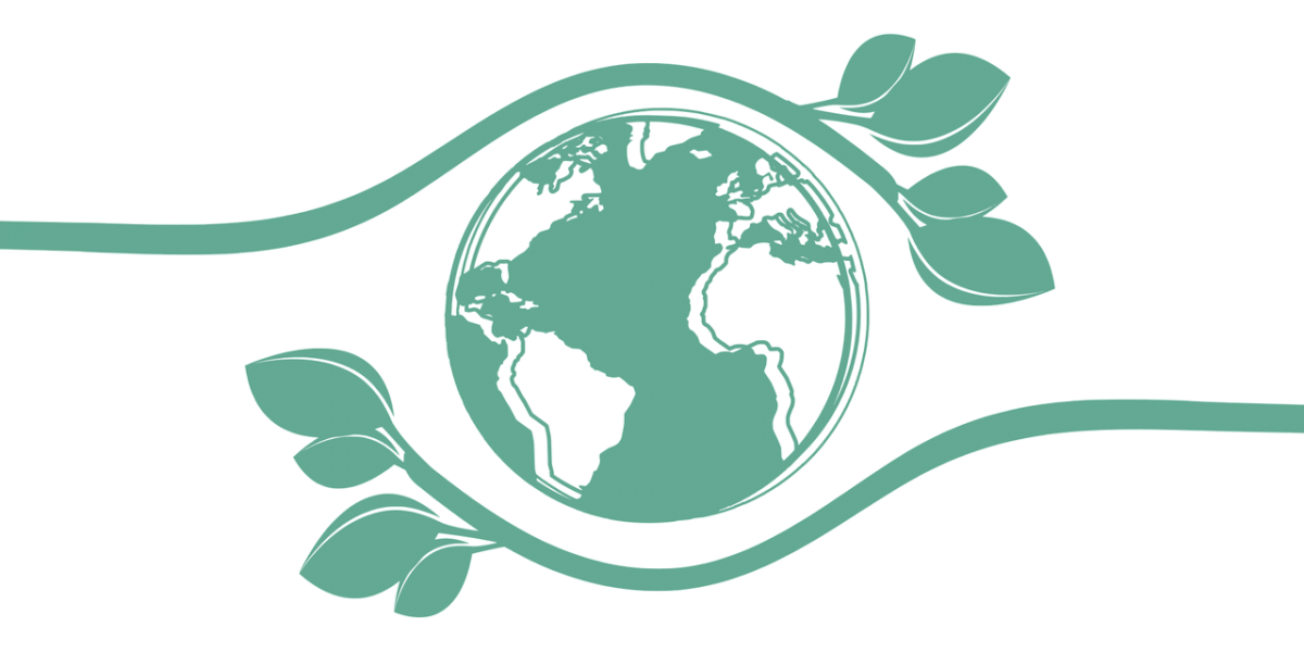 environmental problem