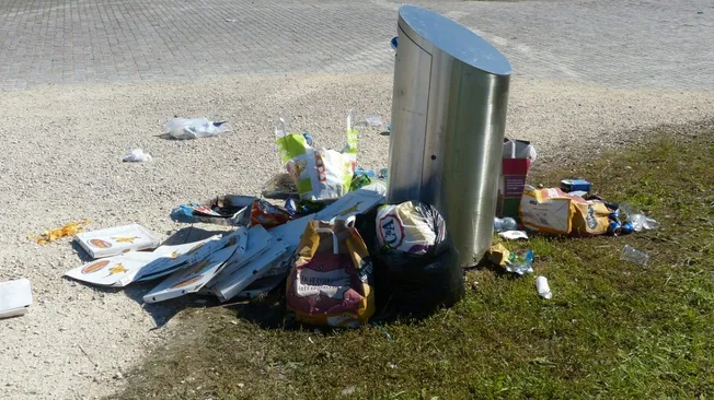 Names of Waste Management Company