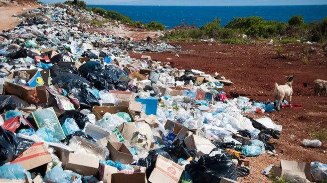 Veolia Waste Management