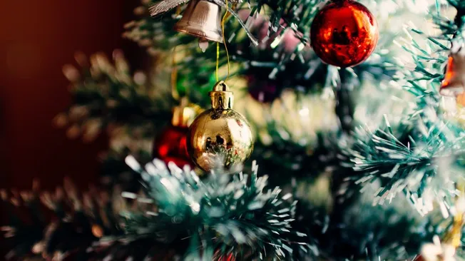 Waste Management Christmas Tree Collection