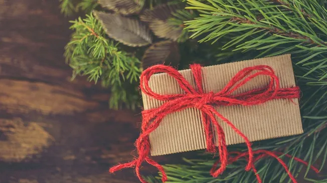 Waste Management Christmas Tree Pick UP