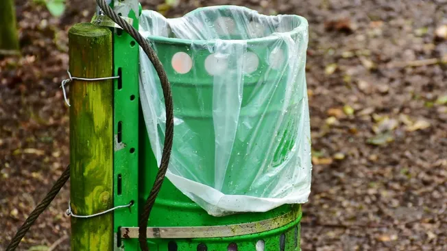 Waste Management Employment