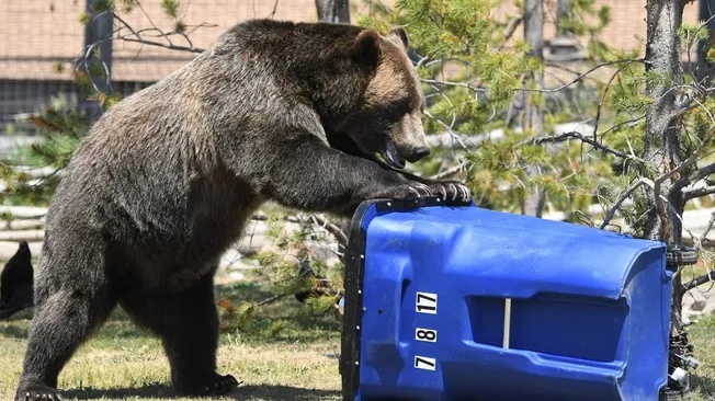 Waste Management Evergreen Colorado