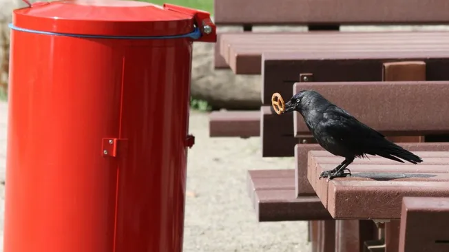 Waste Management Official Website