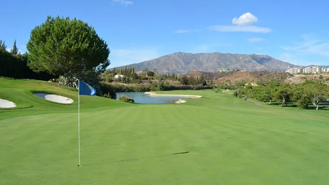 Waste Management Open Schedule
