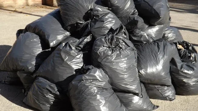 Waste Management Rent a Dumpster