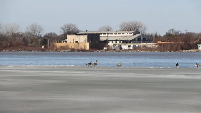 Waste Management Saginaw Michigan