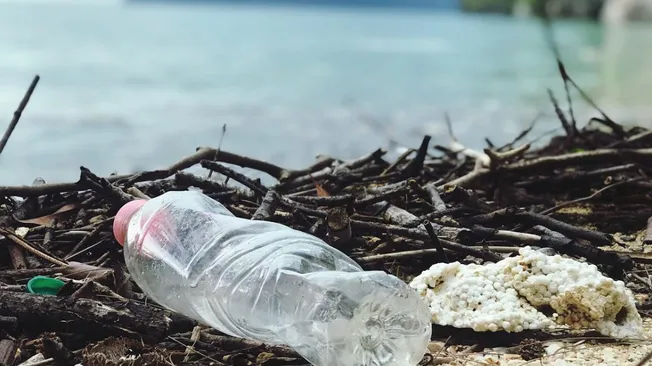 What is Poor Waste Management?