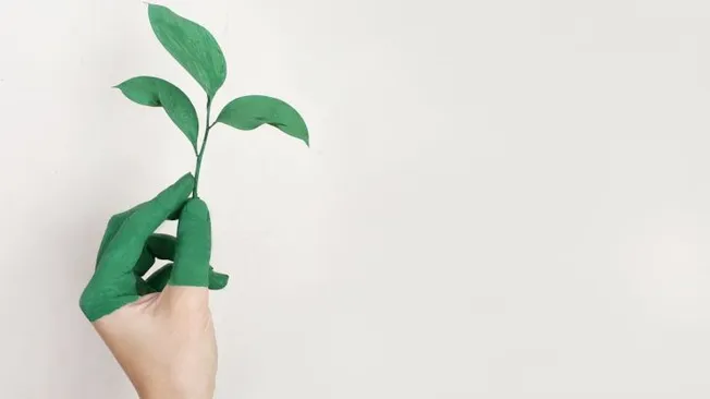 How to Foster an Inclusive Work Environment